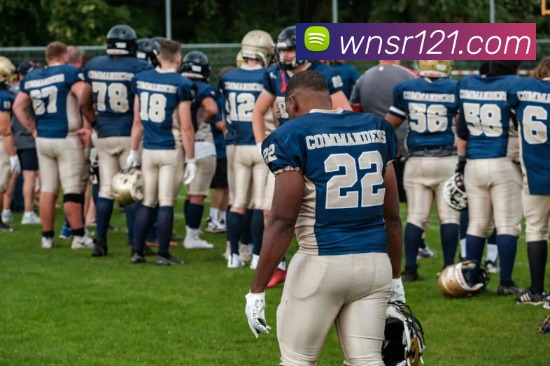 威尼斯娱乐平台平台生态图